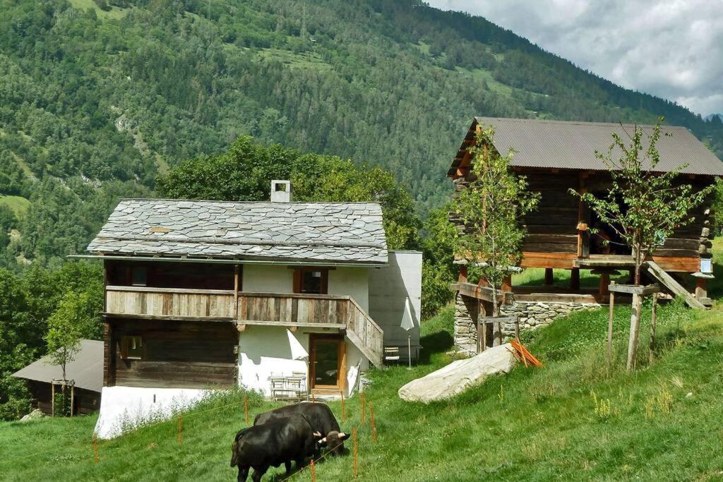 Appartement Le Ver Luisant à Saint-Martin, Val d'Hérens, Valais Exterior foto